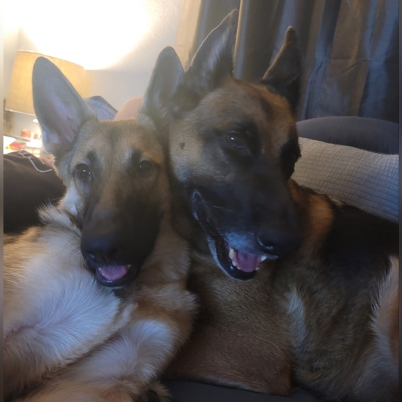 LIVE NOW ! - Picture 11 of 17